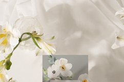 White Flowers Watercolor Collection, Roses Floral Clipart Product Image 7