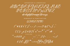 Floralis Morning - A Beauty Handwritten Script Font Product Image 13