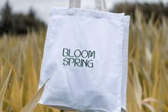 Flores Fresh Font Product Image 2