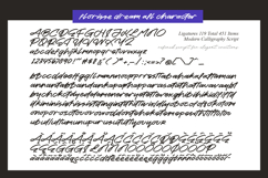 Florisse Dream - Modern Calligraphy Script Product Image 10