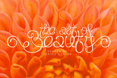 Flourel Product Image 5