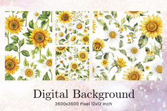 Flower Pattern Background Wallpaper Digital Paper_24 Product Image 1