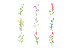 flower branch set cartoon Product Image 1