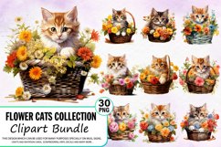 Cats Clipart,Cat Clipart,Watercolor Cat,Flower Clipart,Floral Clipart,Floral Cat Clipart,Kitten Png,Watercolor Kitten,Fantasy Cat,