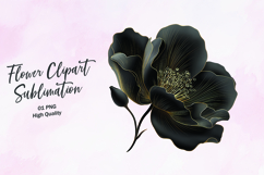 Deep Black Dahlia Head Clipart Sublimation PNG Product Image 1