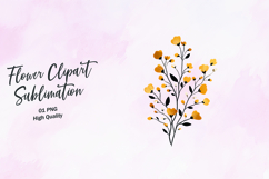 Confetti Floral Spray Clipart Sublimation PNG Product Image 1