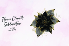 Dramatic Dark Rose Clipart Sublimation PNG Product Image 1