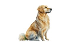 Watercolor Golden Dog Clipart,commercial use,watercolor clipart,clipart bundle,dog clipart,puppy clipart,dog digital stickers,dog sticker,birthday dog gift,watercolor dogs,dog wallart,dog lover clipart,dog portrait,dogs clip art,watercolor clipart,commerc