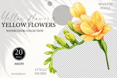 spring flowers png, yellow bloom flower, summer greenery, bridal shower design, Yellow bouquets, Yellow botanical, boho floral clipart, floral bouquets png, Yellow botanical, Watercolor flower, Wedding invitation, Flower clipart, Freesia clipart, wildflow