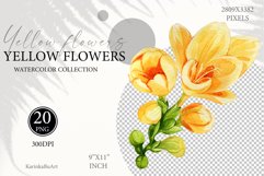 spring flowers png, yellow bloom flower, summer greenery, bridal shower design, Yellow bouquets, Yellow botanical, boho floral clipart, floral bouquets png, Yellow botanical, Watercolor flower, Wedding invitation, Flower clipart, Freesia clipart, wildflow