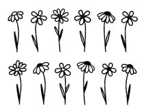 Flower SVG. Wildflowers Daisy SVG. Floral Bundle. Vector,PNG Product Image 2