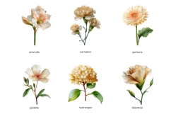 Watercolor beige wedding flowers clipart 9 PNG Product Image 2
