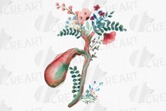Watercolor Human cholecyst and hepatic duct, gallbladder. Product Image 1