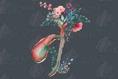 Watercolor Human cholecyst and hepatic duct, gallbladder. Product Image 8