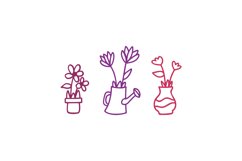 Flowers Product Image 1