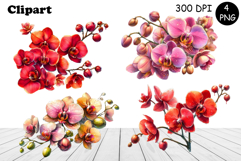 Flower clipart, Watercolor floral clipart, Bouquets Product Image 1