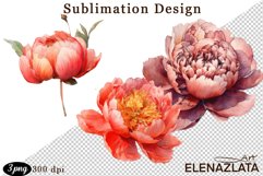 Watercolor Pink Peonies Flowers Clipart Product Image 1
