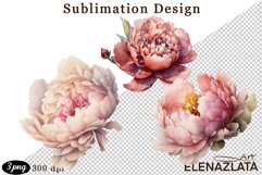 Watercolor Pink Peonies Flowers Clipart Product Image 1
