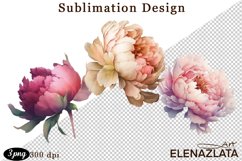 Watercolor Pink Peonies Flowers Clipart Product Image 1
