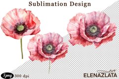 Poppy clipart, Watercolor floral clipart, Bouquets Product Image 1