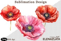 Poppy clipart, Watercolor floral clipart, Bouquets Product Image 1