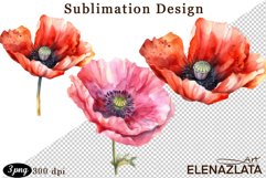 Poppy clipart, Watercolor floral clipart, Bouquets Product Image 1