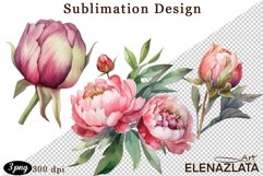 Watercolor Pink Peonies Flowers Clipart Product Image 1