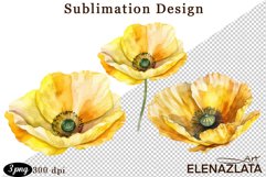 Poppy clipart, Watercolor floral clipart, Bouquets Product Image 1