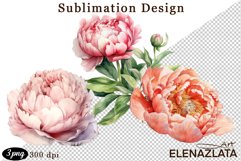 Watercolor Pink Peonies Flowers Clipart Product Image 1