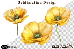 Poppy clipart, Watercolor floral clipart, Bouquets Product Image 1