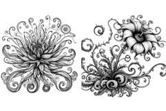 Flowers Coloring Pages PNG JPG PDF printable Coloring Book Product Image 2