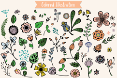 Colored Wild Flowers &amp; Leaves | Hand Drawn Nature, Plants Product Image 2