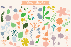 Colored Wild Flowers &amp; Leaves | Hand Drawn Nature, Plants Product Image 3