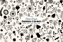 Flowers &amp; Leaves | Hand Drawn Wild Flower, Nature, Plants Product Image 1