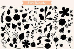 Flowers &amp; Leaves | Hand Drawn Wild Flower, Nature, Plants Product Image 4