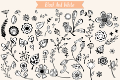Flowers &amp; Leaves | Hand Drawn Wild Flower, Nature, Plants Product Image 5