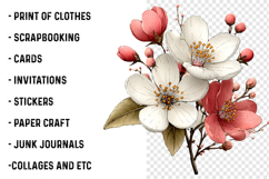 Flowers Spring Clipart Product Image 2