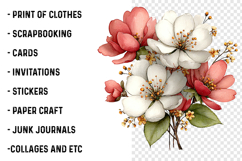 Flowers Spring Clipart Product Image 2