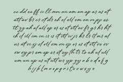 Flowers the Breeze - Handwritten Script Product Image 16