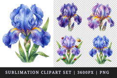 Flowers clipart printable sublimation design png Product Image 1