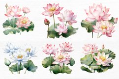 Lotus Flowers Watercolor Sublimation Clipart Product Image 2