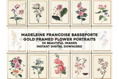 20 Vintage French Botanical Prints Gold Framed Gilded Product Image 1