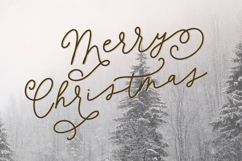 Flowerwood Script Product Image 4