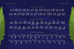 Flowmery - A Naturally Elegant Calligraphy Script Product Image 10