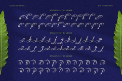 Flowmery - A Naturally Elegant Calligraphy Script Product Image 11