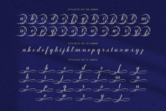 Flowmery - A Naturally Elegant Calligraphy Script Product Image 13