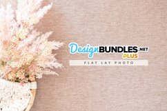 Fluffy Pink Grass Stem Flat Lay Photo Product Image 1