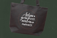 Flusteria Routine - Modern Brush Font Product Image 3