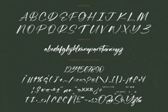 Flusteria Routine - Modern Brush Font Product Image 18