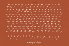 Flusteria Routine - Modern Brush Font Product Image 19